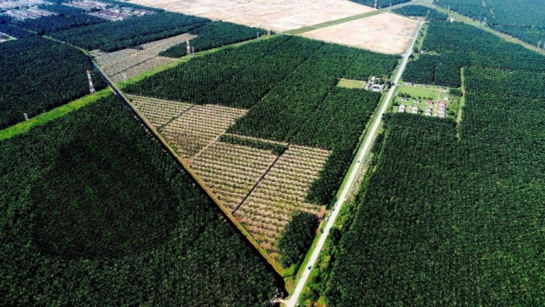 Klang Meru Industrial Land for Sale RM 100 psf