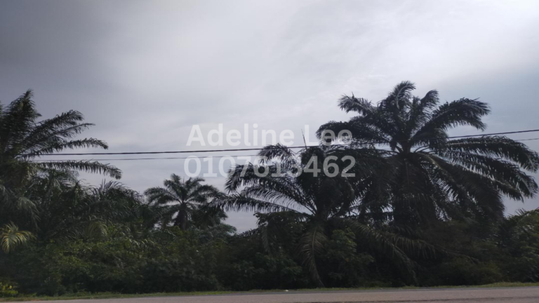 Johor @ Pekan Nenas - Freehold Industrial Land