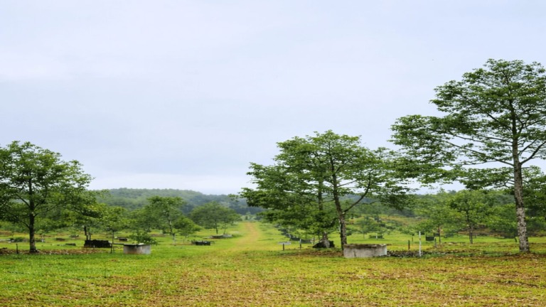Johor @ Ulu Choh - Freehold Industrial Land