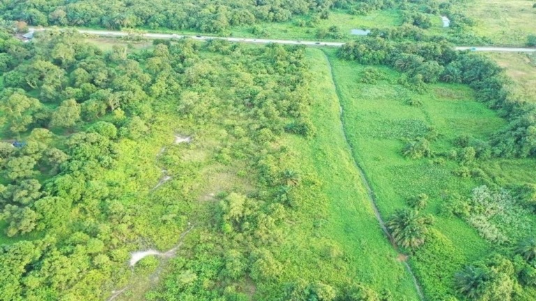 Johor @ Ulu Pulai - Medium Industrial Land