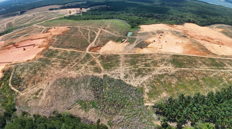 Johor @ Tanjung Langsat - Freehold Industrial Land