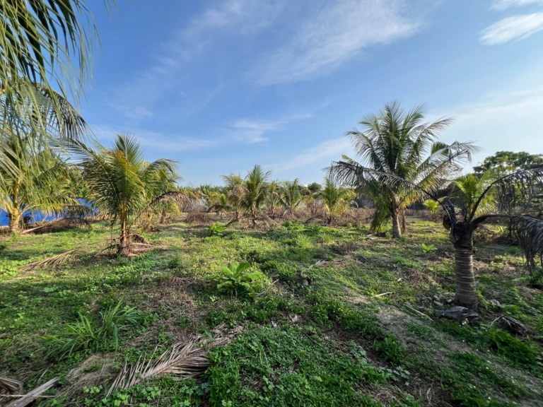 Gopeng Agricultural Land