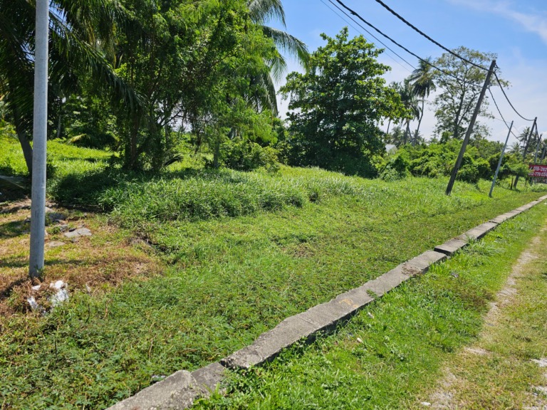 JERAM (Jalan Kapar)(Facing Main Road Agriculture Freehold Land)