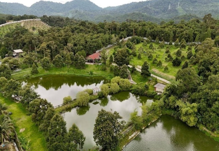 Hulu Langat Orchard Estate For Sale | 8 Acres | Villa, Pool & Durian Trees