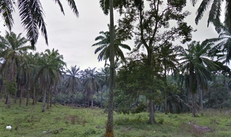6.44 Acres Agricultural Land For Sale In Batu Arang, Rawang, Gombak